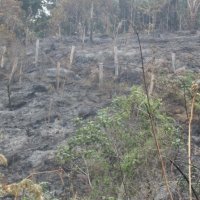 incendio_en serrana_de_peas blancas